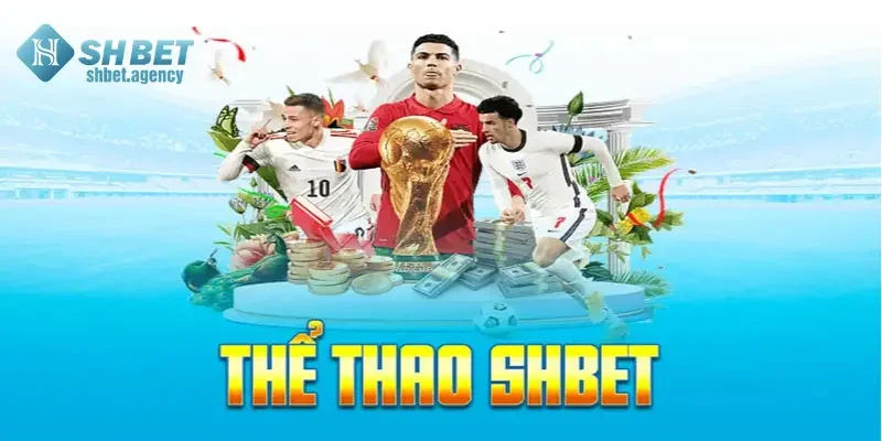 Thể Thao SHBET – Sân Chơi Cá Cược Uy Tín Và Đẳng Cấp 2 Sảnh thể thao SHBET